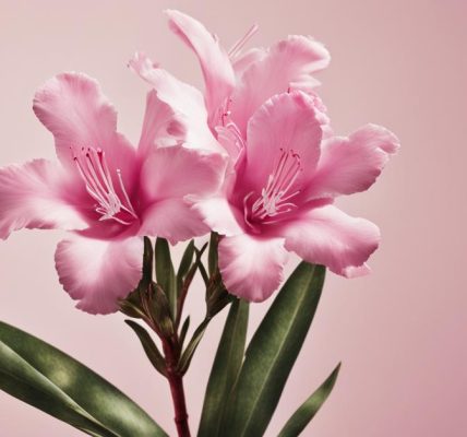 Oleander giftig: Vergiftungssymptome und Pflegehinweise für Nerium Oleander