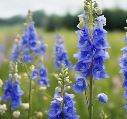 Rittersporn giftig: Vorsicht vor der Giftpflanze des Jahres im Garten