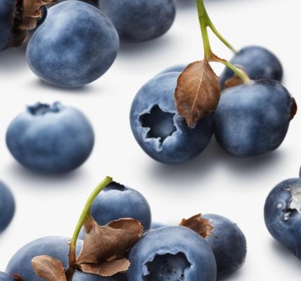 Essbare blaue Beeren Strauch: Mahonie und andere heimische Fruchtsträucher