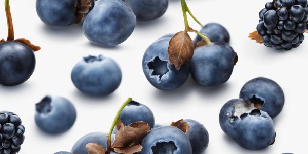 Essbare blaue Beeren Strauch: Mahonie und andere heimische Fruchtsträucher